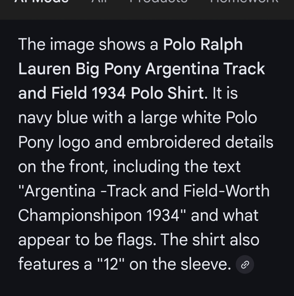Vintage Polo By Ralph Lauren Big Pony Argentina Track And Field 1934 Polo Shirt - Picture 11 of 12